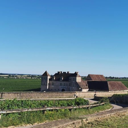 Appt Proche Des Vignes Apartment Perrigny-les-Dijon Екстериор снимка