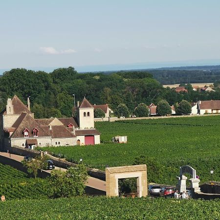 Appt Proche Des Vignes Apartment Perrigny-les-Dijon Екстериор снимка